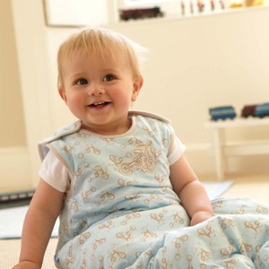 baby sleeping bag 2.5 tog 6 18 months