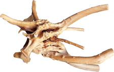 Natural Large Driftwood for Aquarium Decor Reptile Decor, Assorted Spider Wood B