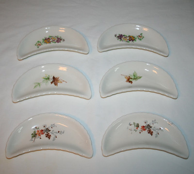 6 Ivory Bone Dishes with Different Floral and Leaves Design 