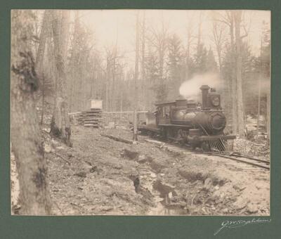 Train Hauling maple sugar sap, Horse Shoe Forestry Company, St. Lawrence, N.Y.