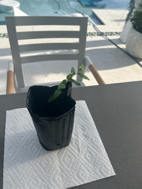 Picture 2 of 9