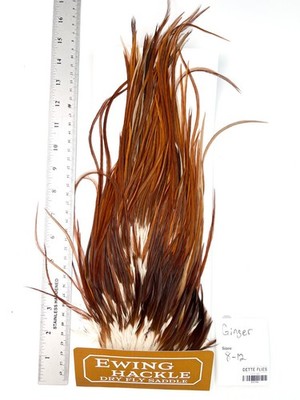 Ewing Hackle - Dry Fly Saddle - Ginger #768