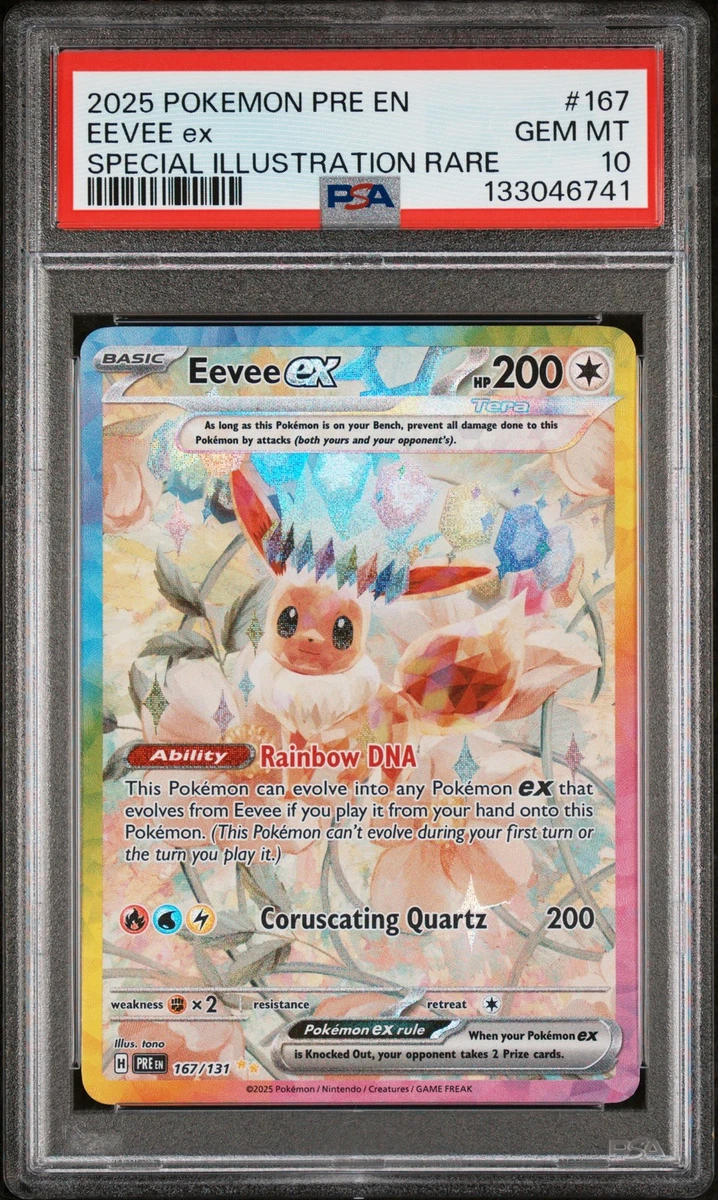 Preços baixos em Eevee Pokémon TCG Autenticador Esportivo