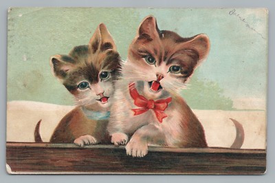 #ad Meowing Kitting—Antique Cat PC Rare EMBOSSED ABS 249 Cute Postcard 1909 $12.99