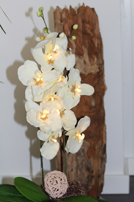 Orchidee mit Licht,Kunstpflanze,LED,Beleuchtung,Geschenk,Garten, Dekoration  | eBay.de