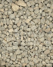 Genuine Crinoid Star Fossils  Tiny Sea Lillies For Crafts Collectors 2-10mm