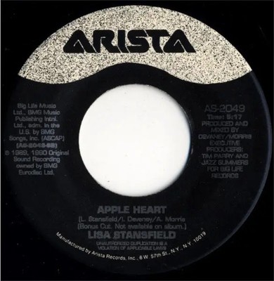 Lisa Stansfield This Is The Right Time Vinyl Single 7inch Arista