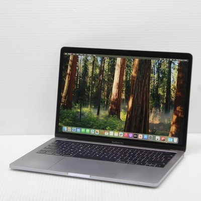 Apple MacBook Pro i5 A2159 13,3 Zoll 16GB RAM 256GB SSD Intel 8257U macOS Sequoia
