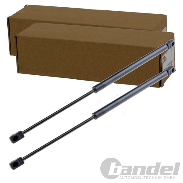 2X Nty Gasfedern KOFFERRAUM-LIFTER Passend FüR Mini Mini | AE-ME-040-image