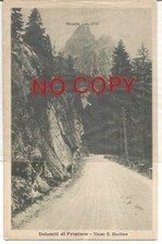 Primiero 1920, Dolomiti. Verso San Martino, sulla strada escrementi di cavallo.