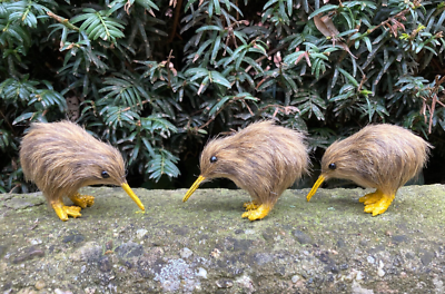 Zeer zeldzame witte kiwi overleeft operatie niet, Nieuw-Zeeland treurt
