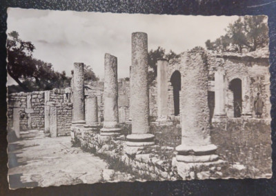postcard RPPC Tunisia Dougga Villa Du Trifolium L'Atrium Gaston Levy unposted