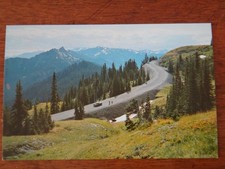 Postcard: Hurricane Ridge Highway - Olympic National Park WA - 1960s Unused