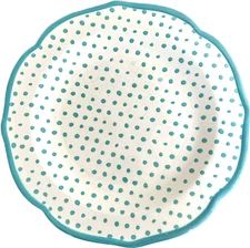 THE PIONEER WOMAN VINTAGE  RETRO DOT/TEAL STONEWARE DINNER PLATE