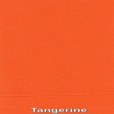 outdoor Waterproof Tangerine Solid Upholstery Canvas fabric 60" wide sold BTY