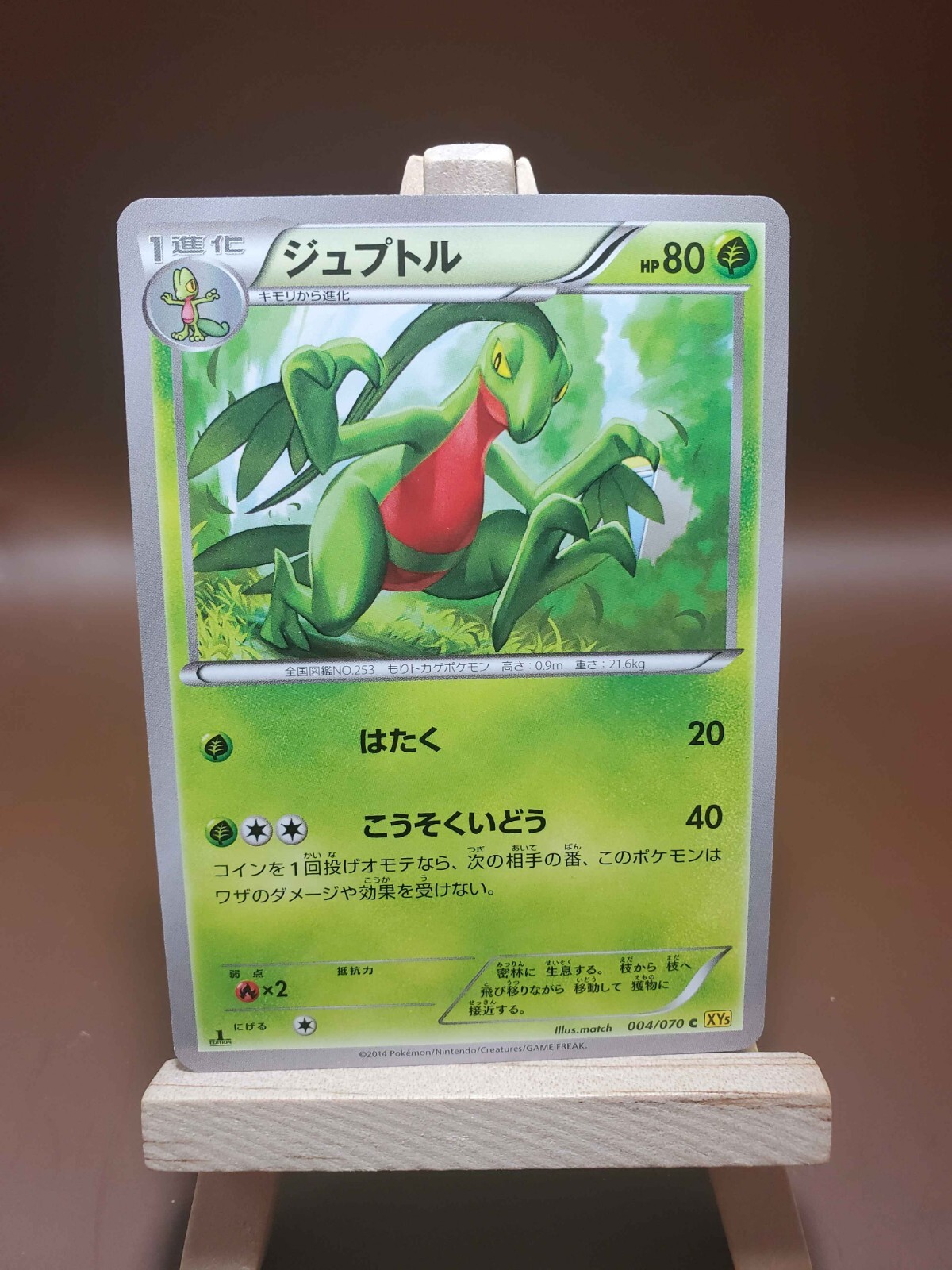 LP Grovyle C 1st Edition Pokemon Card 004/070 XY5 Gaia Volcano