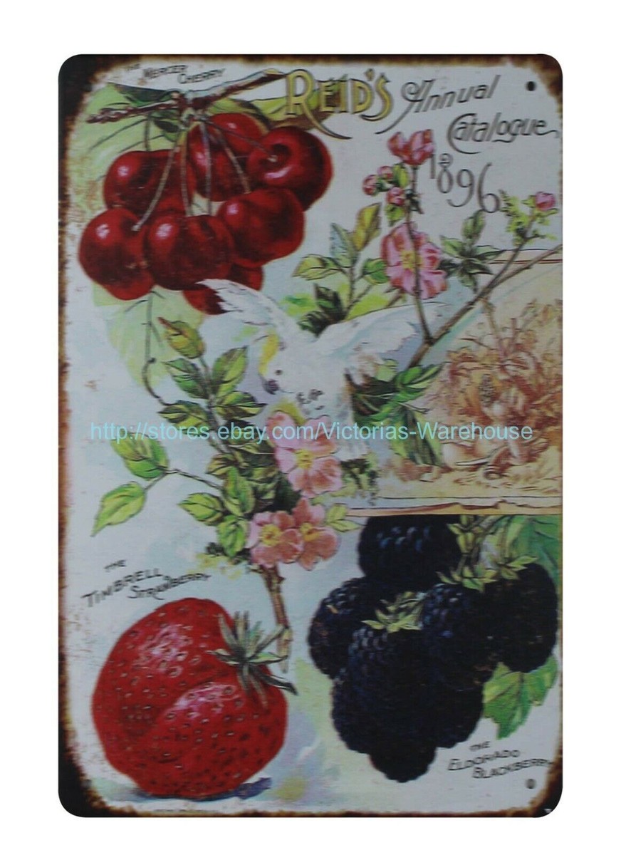 berry tobacco seeder Mercer Cherry Reid's Annual Catalogue 1896 fruit berries seeds metal tin  sign