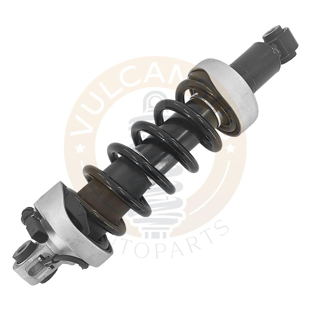 Audi R8 2015-2020 Rear Right Shock absorbers Pair P/N 420512020G