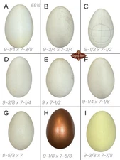 9 Empty VTG 8-9” L Blown Goose Eggs Blown White Shell Pysanky Butterk Two Hole