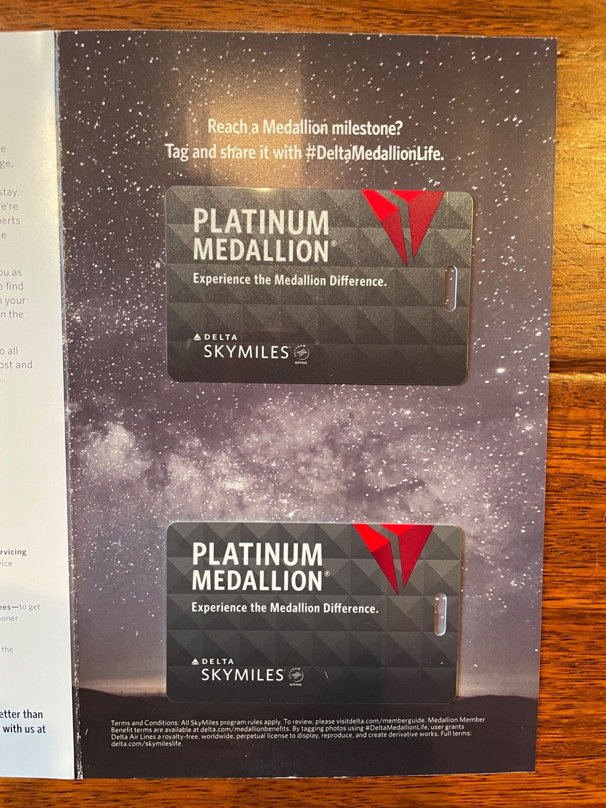 NEW 2 Delta Airline PLATINUM Medallion Luggage Bag Tags eBay