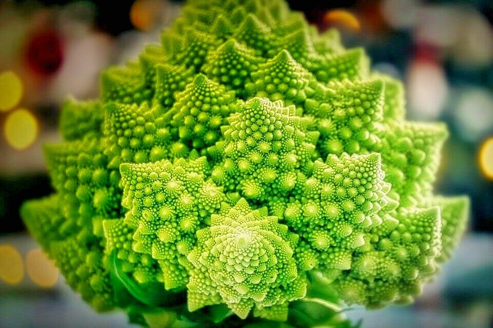 ROMANESCO 100+ seeds Cauliflower Broccoli Romanesque fractal