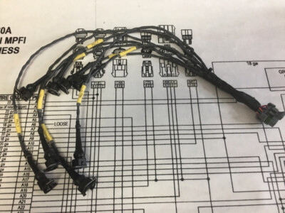 Holley Terminator X, HP, Dominator 302, 351, 4.6 Exact Fit EV1 Injector Harness