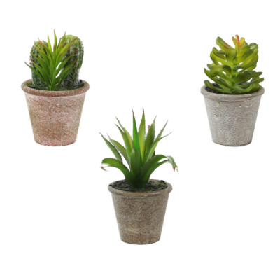 Artificial Succulents Set of 3 Small Plants in Pots Agave Cacti and Succulents