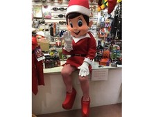 Professional Naughty Elf Mascot Costume Christmas Grotto Santas Helper Outfit