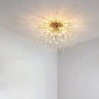 Bild 9 von 10