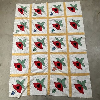 Vintage Applique Quilt TOP Hand Pieced / Machine Sewn Flower & Butterfly 76x58