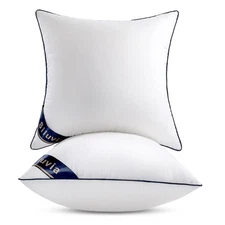 20"x20" Pillow Inserts Set of 2 Decorative Square Square Throw 20 Pillows wit...