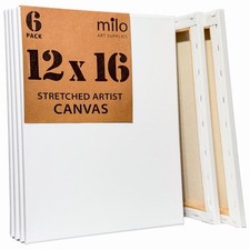 Stretched Artist Canvas | 12x16 inch | Value Pack of 6 Canvases for Painting,...