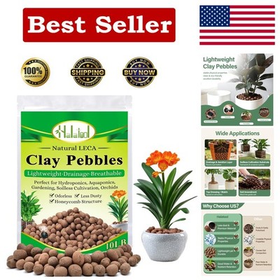 Healthy Root Zone with 10 lb Mixed-Grade LECA Pebbles for Orchids & Succulents