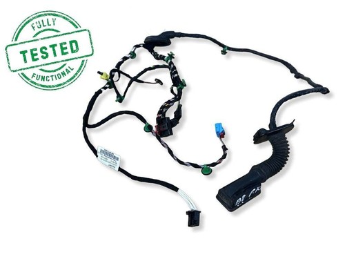 Volkswagen PASSAT B8 (2015-2023) Vorne links Kabelbaum Leitungssatz Tür vorne