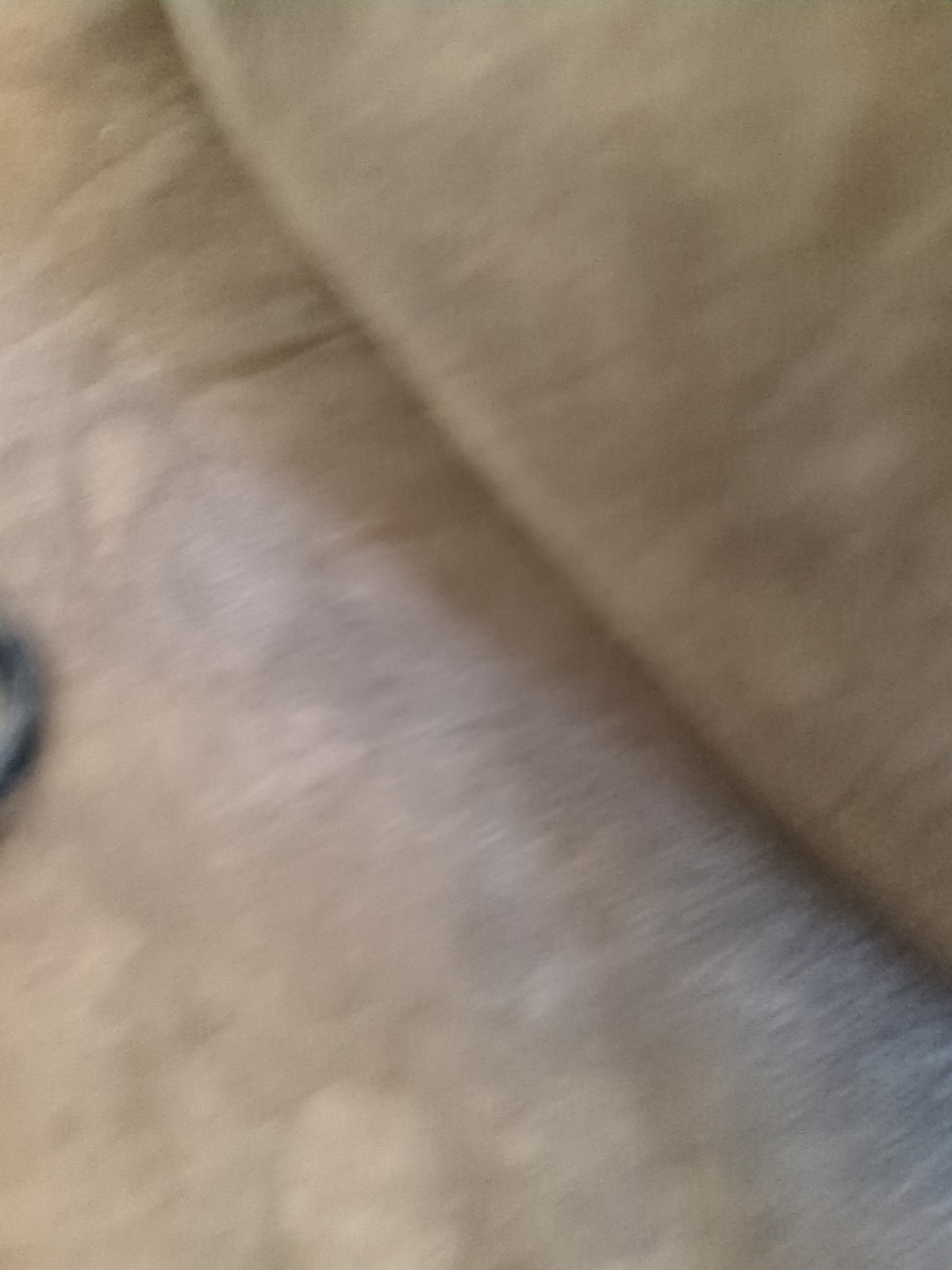 Picture 3 of 4