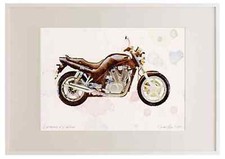 A3 Photo Frame Suzuki VX800 1990 Watercolour Print Ltd Edition