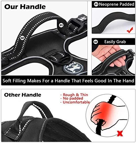 Dog Harness andeash Combo, Escape Proof No Pull Vest Harness, with 5 L Black