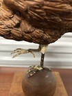 19th Century American Carved Wood Bird Model of a Pheasant — photo 5