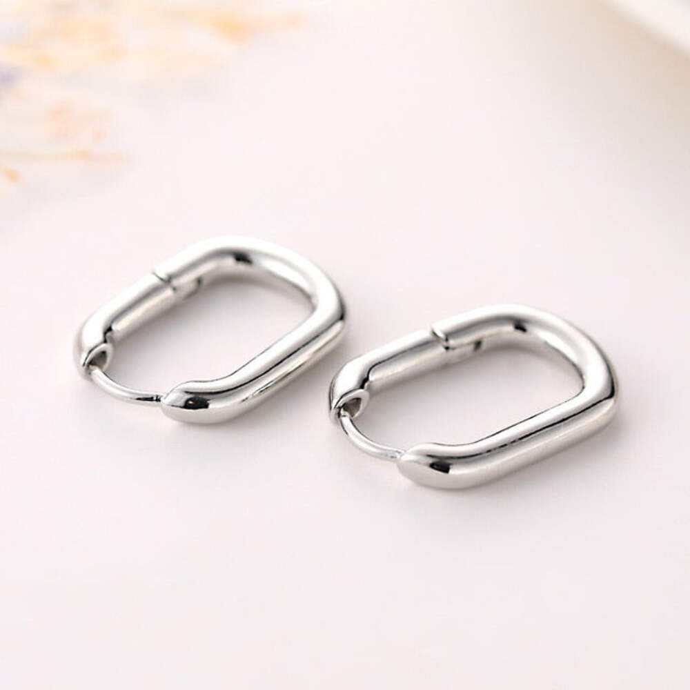 Cubic Zirconia Hoop Earrings for Women Stylish Fashion Jewelry-image