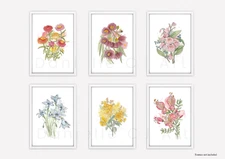 Set of Six Native Australian Flower Prints - watercolour flora prints