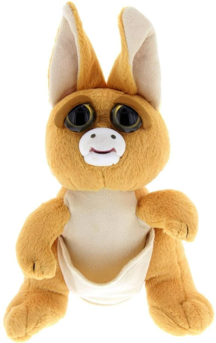Feisty Pets Jacked Up Jackie the Kangaroo Turns Feisty with a