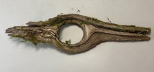 Rare Natural Driftwood Ring Shape 22    Unique Aquarium / Terrarium / Taxidermy