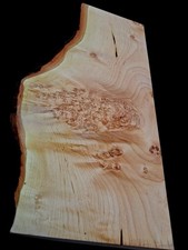 XL MIND BLOWING Maple Burl wood Blank, CURLY Birdseye Maple Turning Wood, Burl