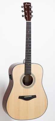 Firefly GD18 Acoustic Guitar Solid Spruce Top Mahogany Back Sides w/ Fishman EQ