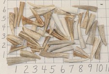 49 Deer/Elk Antler Tines Tips Crafts