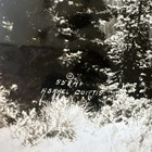 Vintage Asahel Curtis Photograph Print Cascade Mountains — photo 2