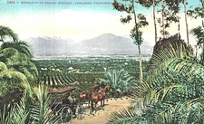 VIntage Postcard-#2464, Entrance to Smiley Heights, Redlands, CA