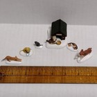 Foto 5 di 24