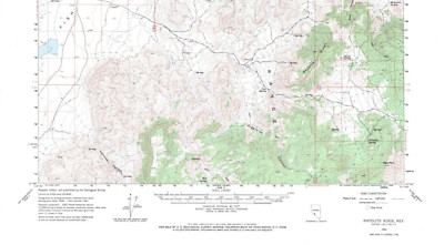 Rhyolite Ridge Quadrangle, Nevada 1963 Topo Map USGS 15 Minute - Shaded