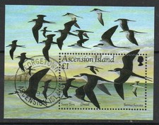 Ascension 1994 Sooty Tern bird MS, used, SG 637